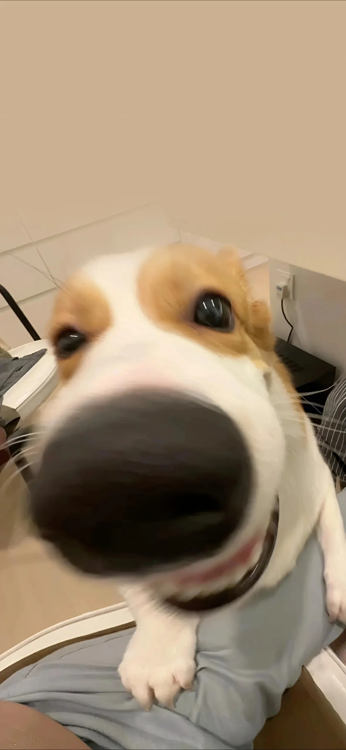 Mobile background image of the blog