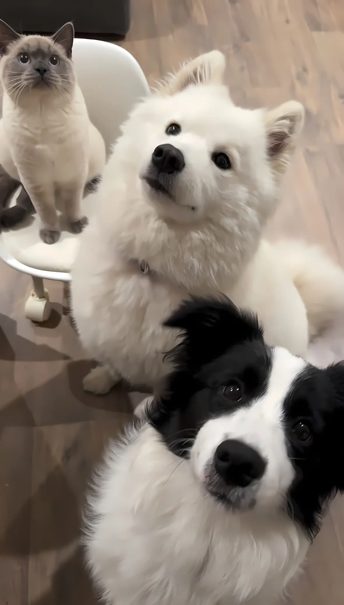 Mobile background image of the blog