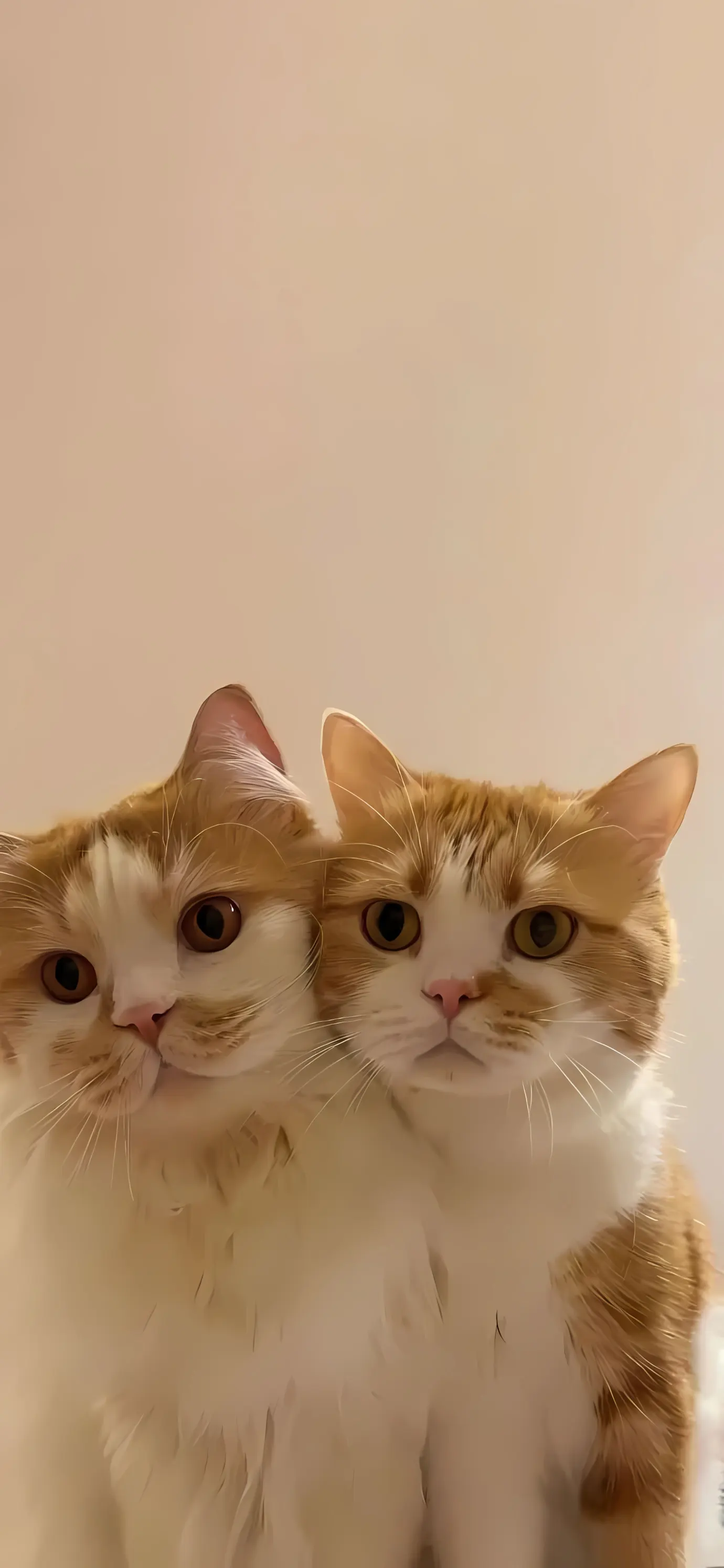 Mobile background image of the blog